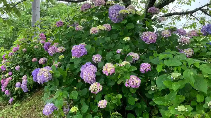 普門寺(岡山県)