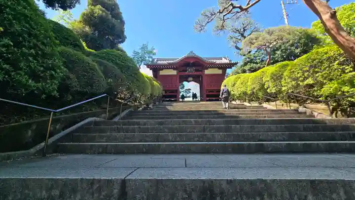護国寺の{uncategorized: "未分類", other: "その他", undefined: "問題あり", building: "その他建物", grave: "お墓", sacred_gate: "鳥居", guardian: "狛犬", statue: "像", buddha: "仏像", history: "歴史", nature: "自然", garden: "庭園", animal: "動物", pagoda: "塔", temizu: "手水舎", mountain_gate: "山門・神門", sanctuary: "本殿・本堂", subordinate: "末社・摂社", art: "芸術", scenery: "景色", jizo: "地蔵", ema: "絵馬", goshuin: "御朱印", omikuji: "おみくじ", items: "授与品その他", amulet: "お守り", goshuincho: "御朱印帳", eats: "食事", festival: "お祭り", votive_dance: "神楽", shichigosan: "七五三参", wedding: "結婚式", experience: "体験その他", initially: "初詣", around: "周辺", anti_infection: "感染症対策"}
