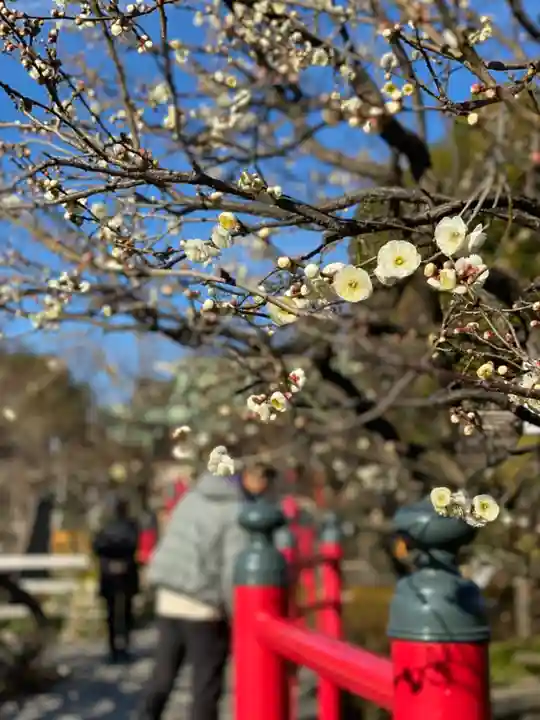 亀戸天神社の自然