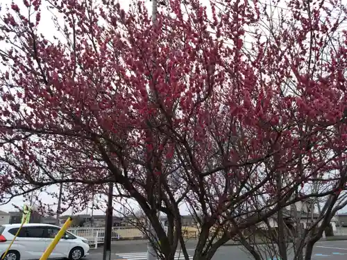 大前神社(栃木県)