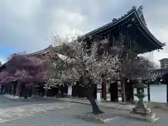 興正寺(京都府)