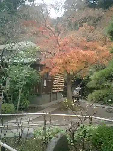 長谷寺のその他建物