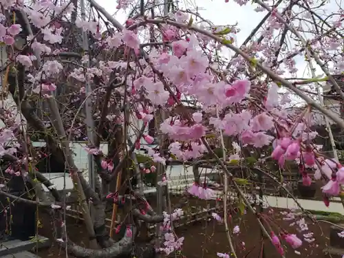 天暁山　一行院(東京都)