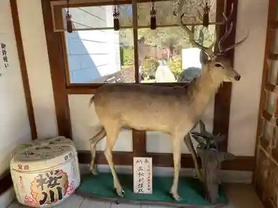 大前恵比寿神社(栃木県)