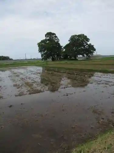神明神社(千葉県)