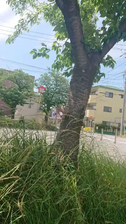 尾張大國霊神社(国府宮)の自然