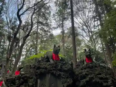 豊川閣　妙厳寺の狛犬