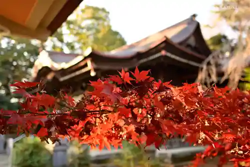 玉川神社の自然