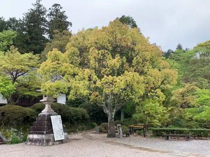 観心寺のその他建物