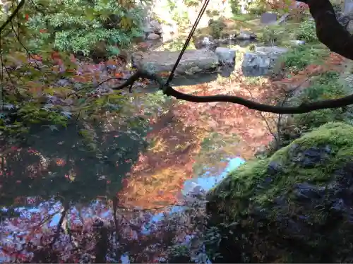 実相院門跡(京都府)