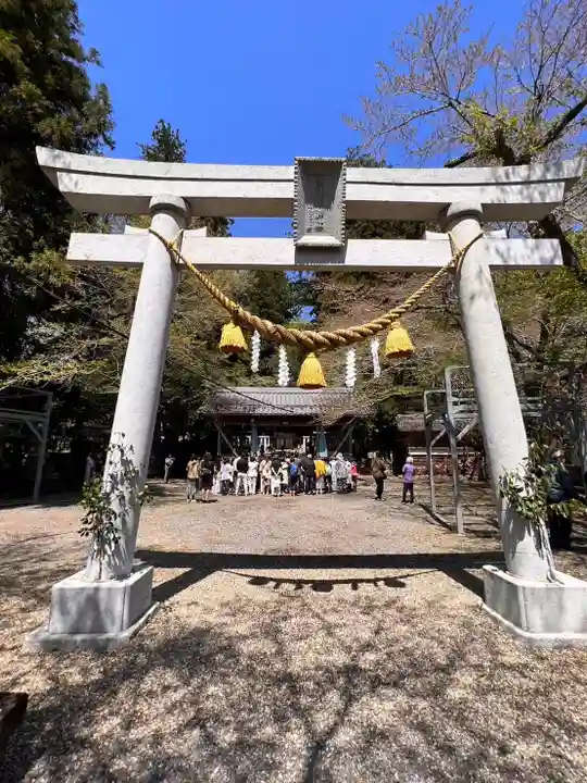 天鷹神社(岐阜県)