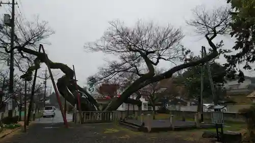 高野神社の自然