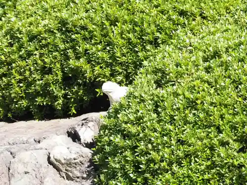 明月院(神奈川県)