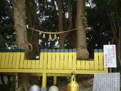 ほしいも神社の自然