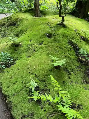 寒川神社(神奈川県)