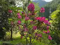 西光寺(奈良県)