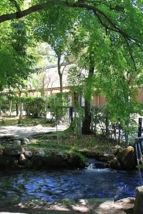賀茂別雷神社(上賀茂神社)(京都府)