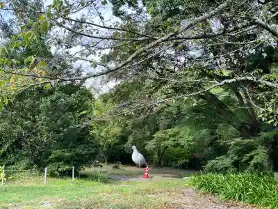 丹生官省符神社(和歌山県)