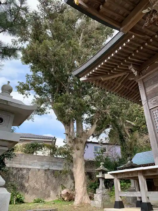瀧口神社のその他建物