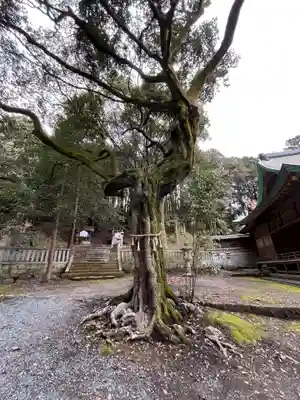 中臣印達神社(兵庫県)