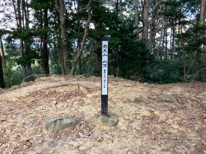 自玉手祭来酒解神社(京都府)