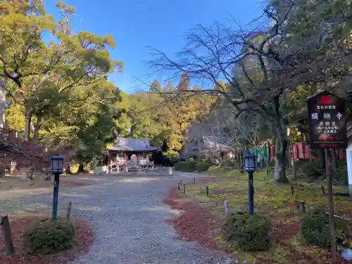 醍醐寺(京都府)