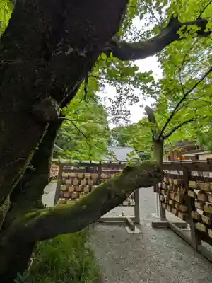 乃木神社(東京都)