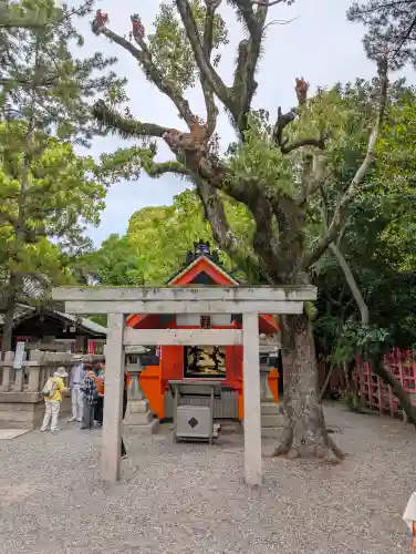 若宮八幡宮(住吉大社 摂社)(大阪府)