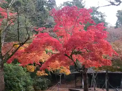 四宮神社の自然