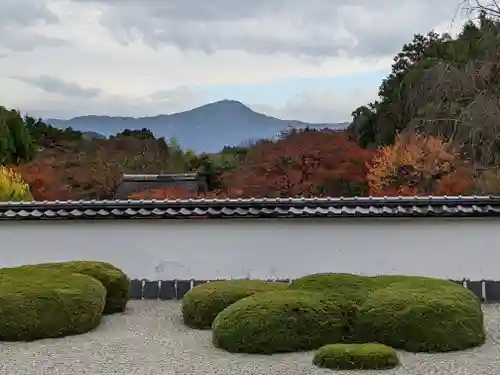 正伝護国禅寺(正伝寺･正傳寺)の庭園