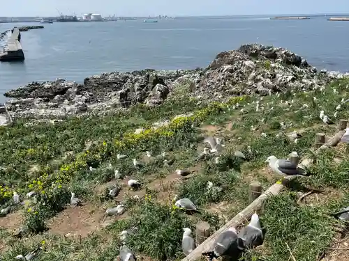 蕪嶋神社(青森県)