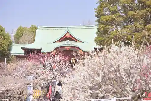 亀戸天神社の庭園