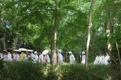 賀茂御祖神社(下鴨神社)(京都府)