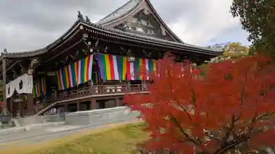  智積院(京都府)