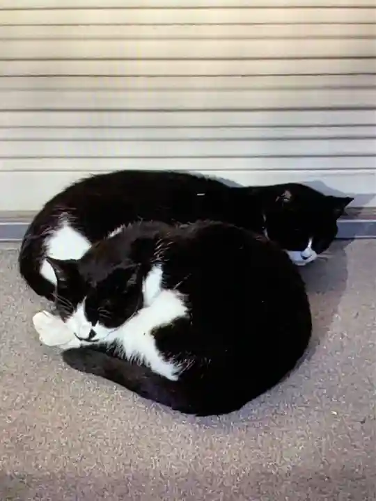 白金氷川神社(東京都)