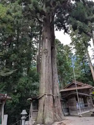 伊和神社(兵庫県)