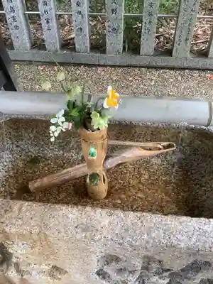富部神社の手水舎