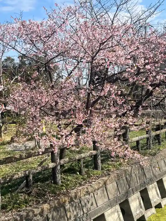 小松神社(埼玉県)