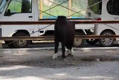 天河大辨財天社(奈良県)