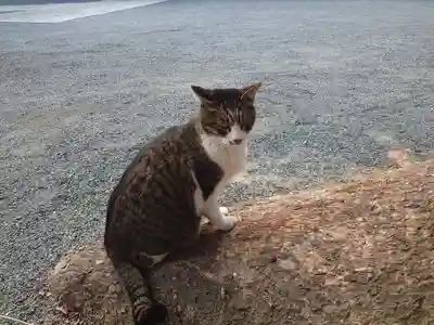 一宮神社の動物