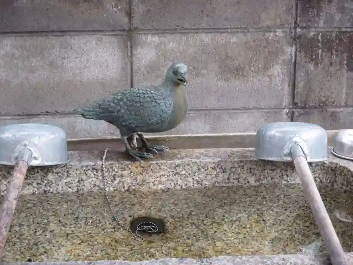 首途八幡宮の動物