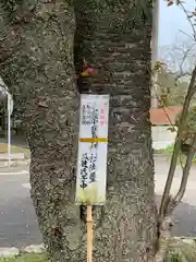 素鵞神社(茨城県)