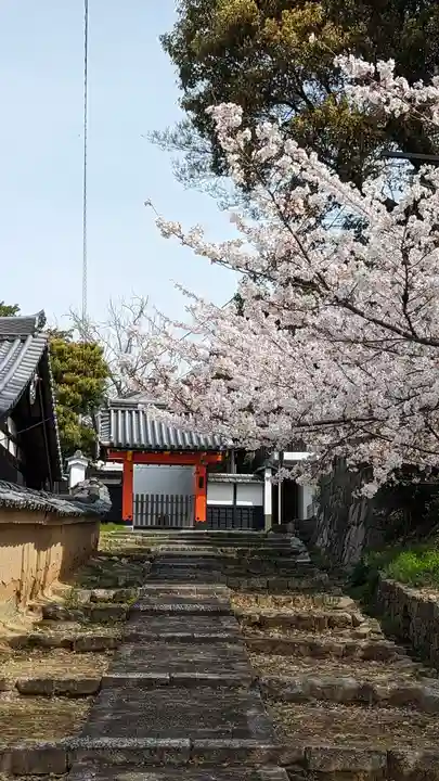 くろ谷 金戒光明寺(京都府)