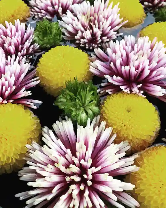 鹿島台神社の手水舎