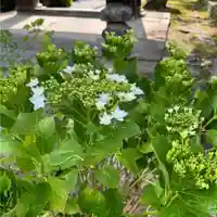 伊勢の国 四天王寺(三重県)