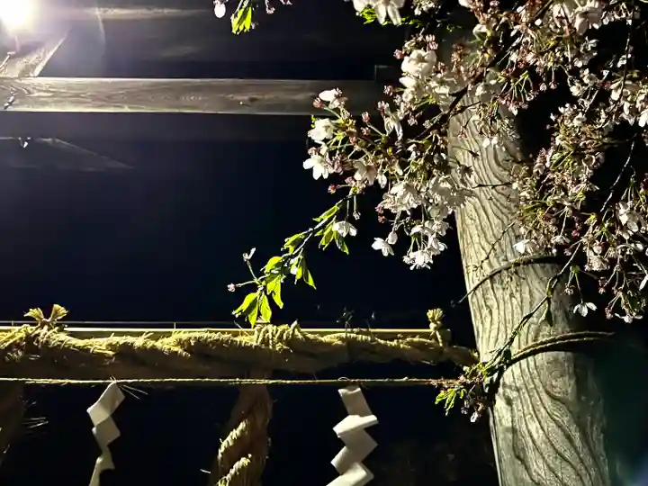 山家神社の自然