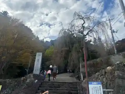 妙義神社(群馬県)