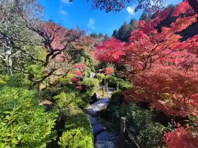 三室戸寺(京都府)