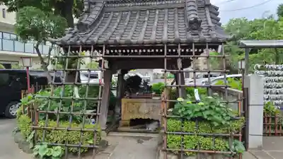 白山神社(東京都)