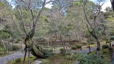 等持院(京都府)